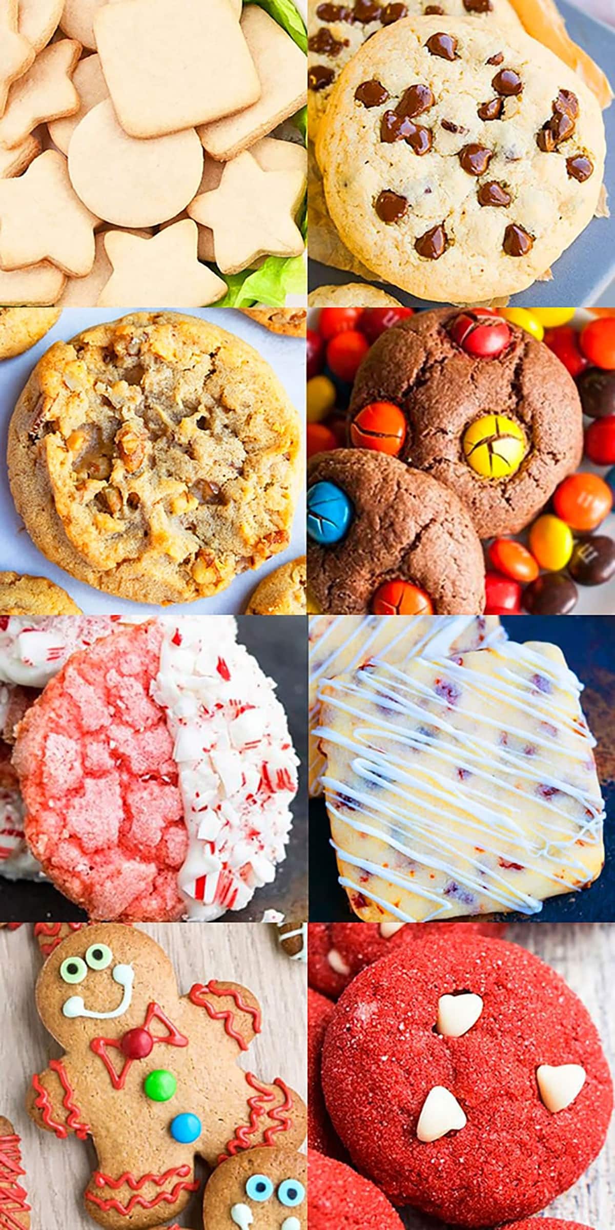 BEST Christmas Cookies {Classic & Unique}